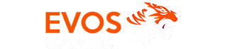EVOSGAMING x Halte Berita Logo